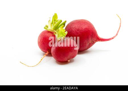 Close up group three of red beetroots on white background, small beetroots, low angle view, bright colors. Stock Photo