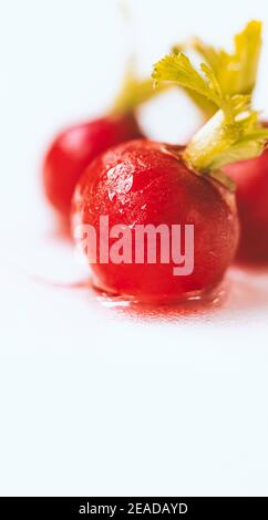 Close up beautiful small beetroots on white background, wet beetroot on small amount of water, natural light. Selected focus image. Stock Photo