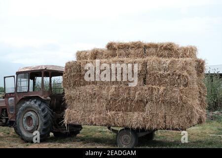 Tracktor loaded with hay on farm during overcast Stock Photo