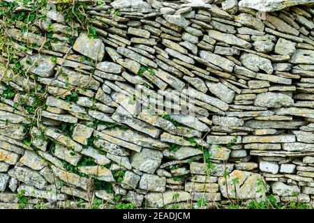 Close up of a dry stone wall in Dorset, with ivy starting to envelop it. Stock Photo