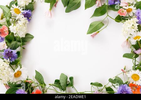 Spring or summer frame of wildflowers, floral arrangement on white background. Stock Photo