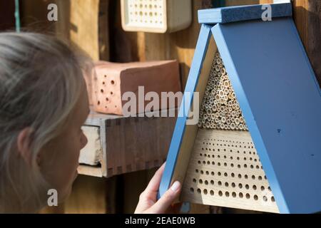 Beobachtung an Wildbienen-Nisthilfen, junge Frau beobachtet Wildbienen an Nisthilfen. Wildbienen-Nisthilfen, Wildbienen-Nisthilfe selbermachen, selber Stock Photo
