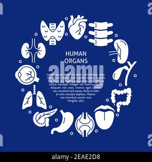 Human organs banner with round frame in flat style. Medical poster. Vector illustration. Stock Vector