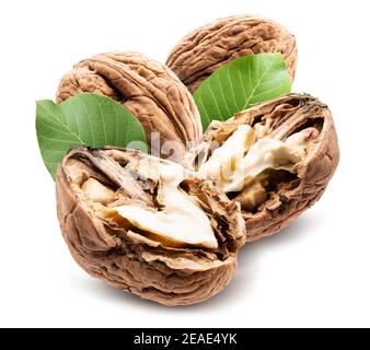 walnuts with green leaves and halves of walnut isolated on a white background. Stock Photo