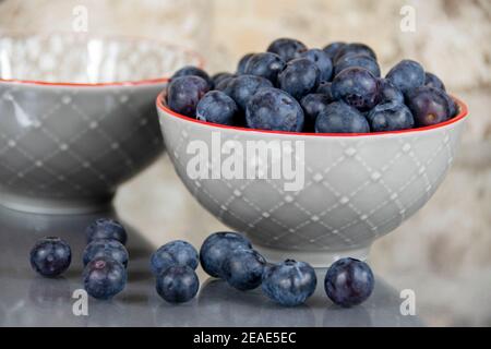 Fresh Blueberries in a bowl with a selection of loose berries in front Stock Photo