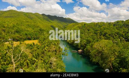 Aerial drone of Tropical Loboc river in the rainforest. Mountain river flows through green forest. Bohol, Philippines. Stock Photo