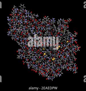 Alpha-galactosidase (Agalsidase) enzyme. Cause of Fabry's disease. Administered as enzyme replacement therapy. 3D rendering based on protein data bank Stock Photo