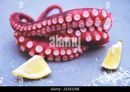 Boiled octopus tentacles with lemon on plate background, Octopus food cooked salad seafood squid cuttlefish dinner restaurant Stock Photo