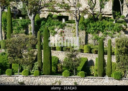 Terraced Gardens with Dry Stone Walls, Topiary Shrubs or Clipped Shrubs & Mediterranean Cypresses Gordes Luberon Provence France Stock Photo