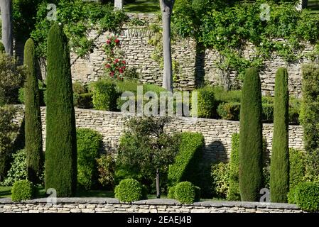 Terraced Gardens with Dry Stone Walls, Topiary Shrubs or Clipped Shrubs & Mediterranean Cypresses Gordes Luberon Provence France Stock Photo