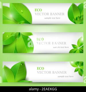 Set banner ecology illustration, colorful composition with green leaves Stock Vector