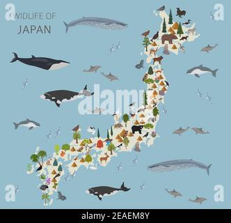 Flat design of Japan wildlife. Animals, birds and plants constructor elements isolated on white set. Build your own geography infographics collection. Stock Vector