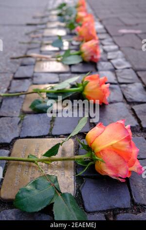 Roses laid on Stolperstein memorials to Holocaust victims in Berlin Stock Photo