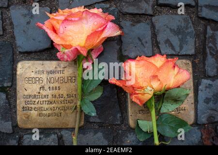 Roses laid on Stolperstein memorials to Holocaust victims in Berlin Stock Photo