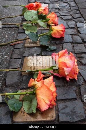 Roses laid on Stolperstein memorials to Holocaust victims in Berlin Stock Photo