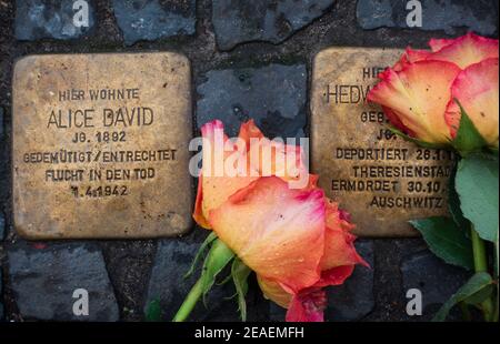 Roses laid on Stolperstein memorials to Holocaust victims in Berlin Stock Photo