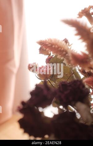 Vertical shot of beautiful dried roses, and astilbe branches in a vase on the table Stock Photo