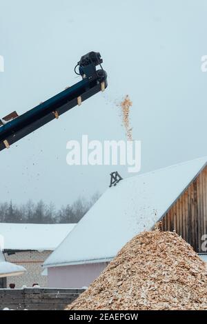 the sawdust conveyor works at a woodworking plant. production waste is dumped in a large pile. lumber remnants Stock Photo