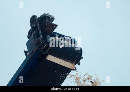 the sawdust conveyor works at a woodworking plant. production waste is dumped in a large pile. lumber remnants Stock Photo