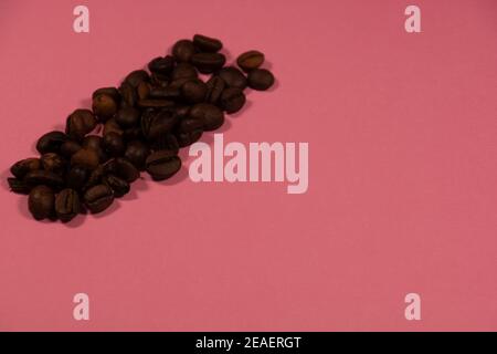 roasted coffee beans on pink colored background with copy space Stock Photo