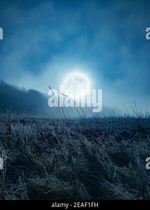 Moonlit wintery landscape scene of a field. Ditchling Beacon in the South Downs at Dawn. Stanmer Great Wood National Park, East Sussex Stock Photo