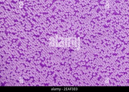 Fabric texture with dots, close up. Rug texture with violet spots. Textile background with purple pattern. Stock Photo