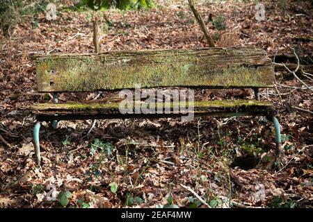 old Bench in woodland,, Branch - Plant Part, Bright, Brown, Close-up, Color Image, Colors, Dead, December, Design, Forest, Stock Photo