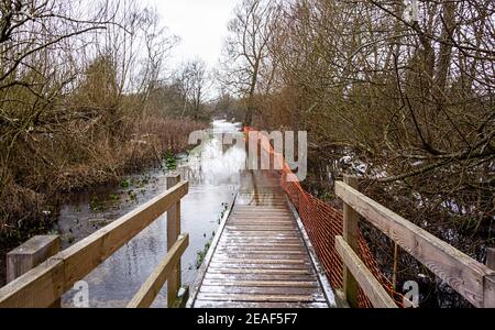 Bridge and flooded pathway Frogmore Lakes St. Albans Hertfordshire Stock Photo