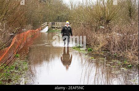 Lady walking on flooded pathway Frogmore Lakes St. Albans Hertfordshire Stock Photo
