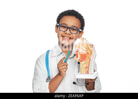 Oral cavity anatomical model in child's hands, close-up. Studying human anatomy and biology at school Stock Photo