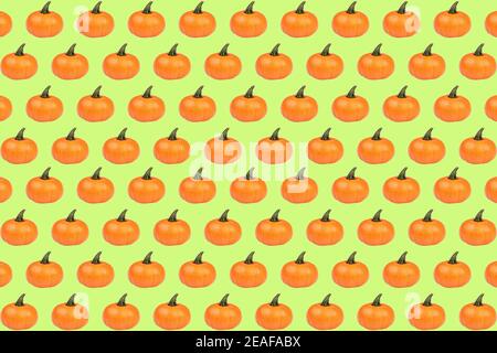 Abstract pattern made from Pumpkins on the green background. Pumpkin quality pattern. Stock Photo