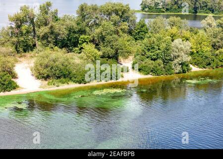 Along the river bank on the surface, the water is covered with a film of blue-green algae. Copy space. Stock Photo