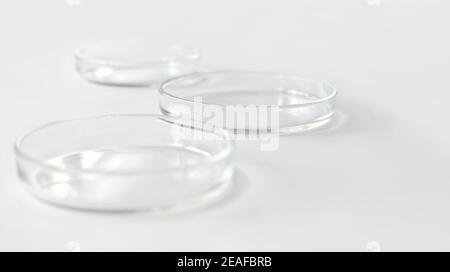 empty glass Petri dishes on a laboratory table. sterile lab dishes ready for tests. analysis and chemical experiment. cell culture growing equipment. Stock Photo