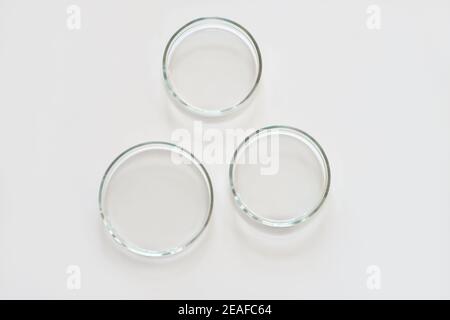 three empty glass Petri dishes on a laboratory table. sterile lab dishes ready for tests. analysis and chemical experiment. cell culture growing equip Stock Photo