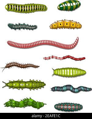 Caterpillars and worms set isolated on white background Stock Vector