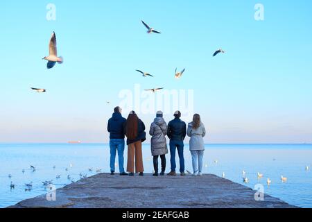 Group of friends feeding seagulls on the beach Stock Photo
