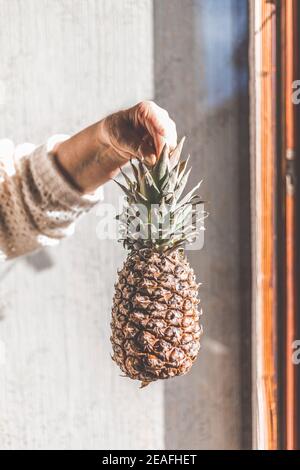Female hand holding a pineapple. Fresh, tropical fruits Stock Photo