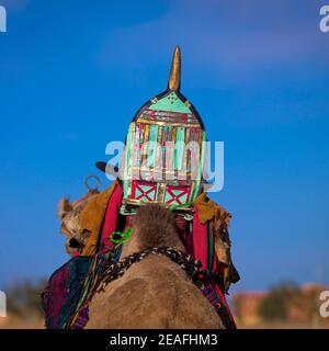 Camel saddle, Tripolitania, Ghadames, Libya Stock Photo