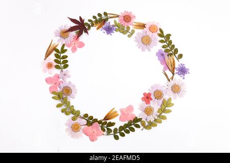 Wreath made from dry leaves and flowes on white background. Dry flowers frame. Flat lay. Stock Photo