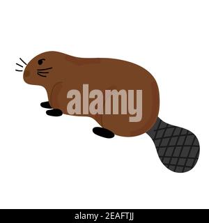 Brown beaver. Hand drawn vector illustration isolated on white background Stock Vector