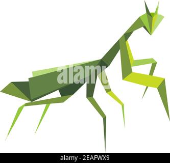 Origami green praying mantis isolated on white background Stock Vector