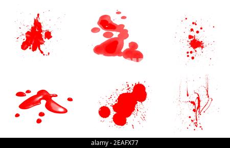 Abstract set of red blood splash, stains and drops isolated on white background Stock Photo