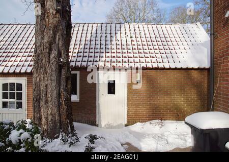 Side door of the garage in the snow in winter. A trunk of a horse chestnut tree. Behind the house with gray garbage container. Netherlands, February Stock Photo