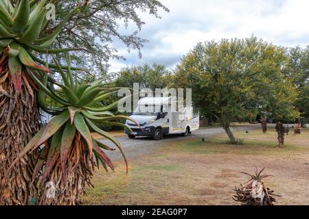 Motorhome camping among large Aloe Vera plants in the Bontebok National  Park, Swellendam, South Africa Stock Photo - Alamy