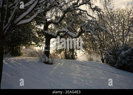 Light coming through the trees at Kelvingrove Park after heavy winter snow in Glasgow. February 2021 Stock Photo
