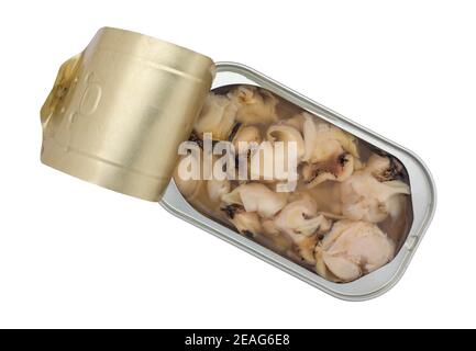 Top view of small cooked conch snails in an open tin with a lid on a white background. Stock Photo