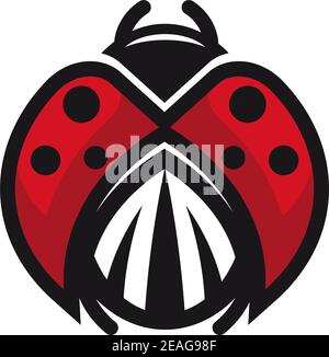 Red and black ladybug or ladybird displaying the patterned thorax ...