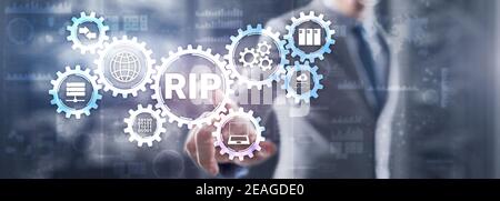 RIP. Businessman pressing virtual screen Routing Information Protocol. Technology networks cocept Stock Photo