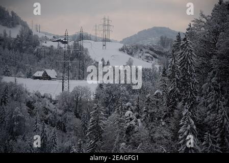 Snow covered landscape with a forest after a heavy snowfall Stock Photo