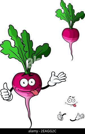 Cute fresh leafy radish vegetable with a purple smiling taproot for a healthy cooking ingredient isolated on white Stock Vector